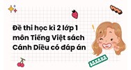 Đề thi học kì 2 lớp 1 môn Tiếng Việt sách Cánh Diều có đáp án
