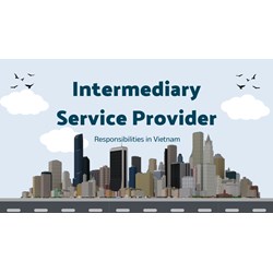 Guide to Intermediary Service Providers' Obligations in Vietnam
