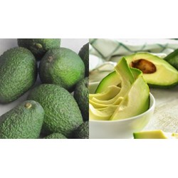 Yêu cầu bảo quản mẫu thử trong phương pháp xác định độ cứng của bơ?