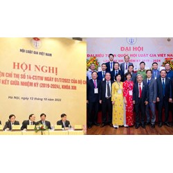 Phát huy vai trò của Hội Luật gia các cấp trong giáo dục pháp luật
