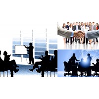 Công ty TNHH 2 thành viên trở lên có hội đồng quản trị không?