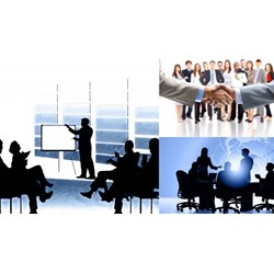 Công ty TNHH 2 thành viên trở lên có hội đồng quản trị không?