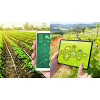 Chức năng của Trung tâm Chuyển đổi số và Thống kê nông nghiệp là?