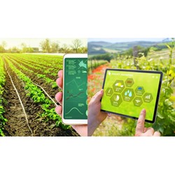 Chức năng của Trung tâm Chuyển đổi số và Thống kê nông nghiệp là?