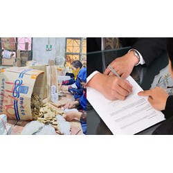 Mục đích hợp tác xã sản xuất giấy in xuất khẩu lập Bảng chấm công