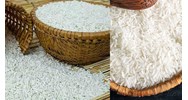 Phân thành các hạng chất lượng gạo nếp trắng như thế nào?