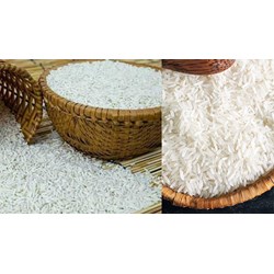 Phân thành các hạng chất lượng gạo nếp trắng như thế nào?