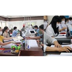 Thủ tục tiếp nhận vào làm viên chức năm 2024 mới nhất