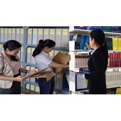 Mã ngạch công chức chuyên ngành hành chính, văn thư hiện nay
