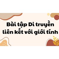 Bài tập Di truyền liên kết với giới tính có đáp án chi tiết nhất