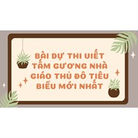Bài dự thi viết Tấm gương nhà giáo thủ đô tiêu biểu mới nhất 2024