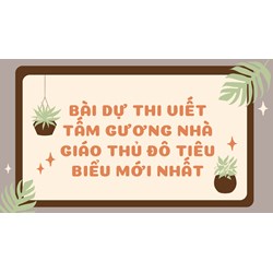 Bài dự thi viết Tấm gương nhà giáo thủ đô tiêu biểu mới nhất 2024