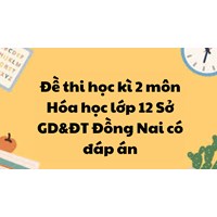 Đề thi học kì 2 môn Hóa học lớp 12 Sở GD&ĐT Đồng Nai có đáp án