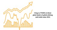 Công ty TNHH có được phát hành cổ phiếu không mới nhất năm 2024