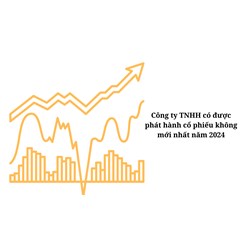 Công ty TNHH có được phát hành cổ phiếu không mới nhất năm 2024