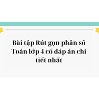 Bài tập Rút gọn phân số Toán lớp 4 có đáp án chi tiết nhất
