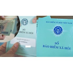 Công ty tư nhân có phải đóng bảo hiểm xã hội cho nhân viên không?