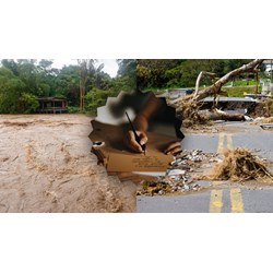 Viết thư thăm hỏi khi nghe tin quê bạn bị bão lũ Tập làm văn lớp 4