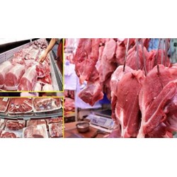 Chính thức cho phép nhập khẩu heo sống để hạ giá thịt heo