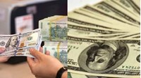 Chuyển đổi ngoại tệ cho dự án Chính phủ cam kết bảo lãnh