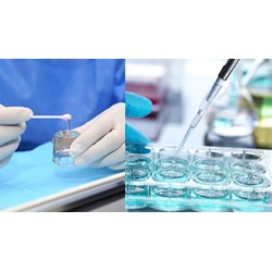 Dụng cụ, thiết bị để lấy mẫu và xác định hàm lượng florua thể khí