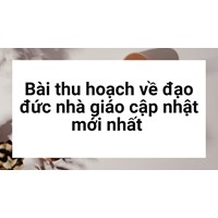 Bài thu hoạch về đạo đức nhà giáo cập nhật mới nhất 2024