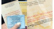 Thu hồi chứng nhận chất lượng an toàn kỹ thuật và bảo vệ môi trường