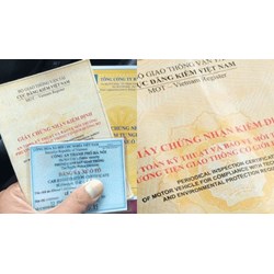 Thu hồi chứng nhận chất lượng an toàn kỹ thuật và bảo vệ môi trường