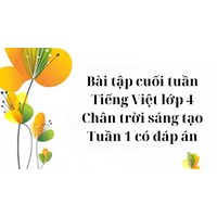 Bài tập cuối tuần Tiếng Việt lớp 4 Chân trời sáng tạo Tuần 1 có đáp án