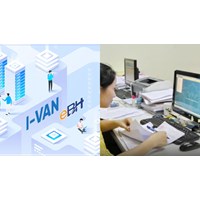 Quyền và nghĩa vụ mới nhất của Tổ chức IVAN theo quy định bao gồm?