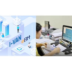 Quyền và nghĩa vụ mới nhất của Tổ chức IVAN theo quy định bao gồm?