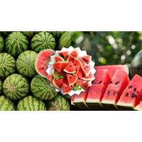 Thuyết minh về quả dưa hấu chọn lọc hay nhất