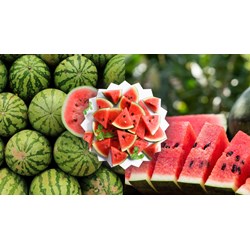 Thuyết minh về quả dưa hấu chọn lọc hay nhất