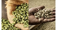 Kho bảo quản cà phê nhân không được xây dựng ở những nơi ra sao?