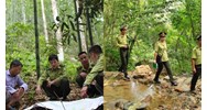 Diện tích rừng tối thiểu để thực hiện thành lập Kiểm lâm cấp huyện