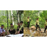 Diện tích rừng tối thiểu để thực hiện thành lập Kiểm lâm cấp huyện