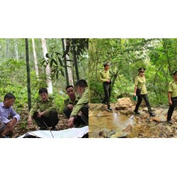 Diện tích rừng tối thiểu để thực hiện thành lập Kiểm lâm cấp huyện