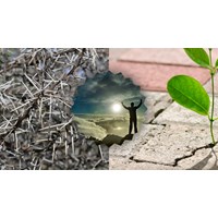 Suy nghĩ về vai trò của chông gai trên đường đời chọn lọc hay nhất