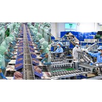 Máy móc mượn nhập khẩu vào doanh nghiệp chế xuất, trong thời gian mượn mà bị hỏng thì xử lý như thế nào?