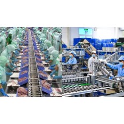 Máy móc mượn nhập khẩu vào doanh nghiệp chế xuất, trong thời gian mượn mà bị hỏng thì xử lý như thế nào?