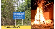 Có được đốt cây khai hoang trong vành đai biên giới hay không?