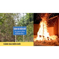 Có được đốt cây khai hoang trong vành đai biên giới hay không?