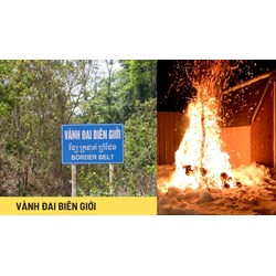 Có được đốt cây khai hoang trong vành đai biên giới hay không?
