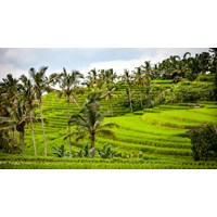 Đăng ký nhãn hiệu cho sản phẩm OCOP tại Bến Tre như thế nào?