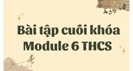 Bài tập cuối khóa Module 6 THCS đầy đủ chi tiết nhất