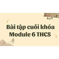 Bài tập cuối khóa Module 6 THCS đầy đủ chi tiết nhất