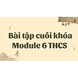 Bài tập cuối khóa Module 6 THCS đầy đủ chi tiết nhất