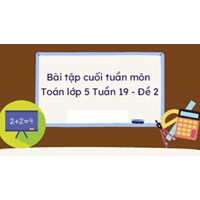 Bài tập cuối tuần môn Toán lớp 5: Tuần 19 - Đề 2 có đáp án