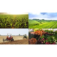 Đăng ký nhãn hiệu cho sản phẩm OCOP tại Vĩnh Phúc như thế nào?