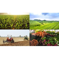 Đăng ký nhãn hiệu cho sản phẩm OCOP tại Vĩnh Phúc như thế nào?